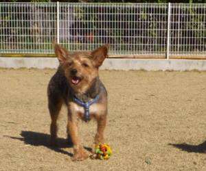 2015_03283-23ジャック