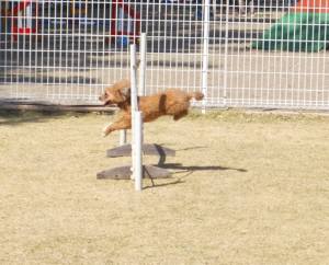 2015_03303-25カール