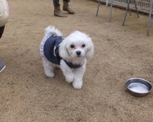 2015_03143-13めるちゃん