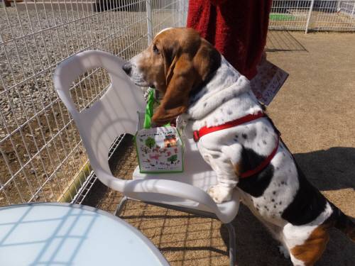 2015_03063-6マロン