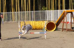 2015_03153-14アイル