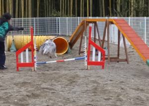 2015_03093-9アイルトンネル