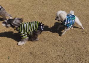 2015_03283-23タッキー