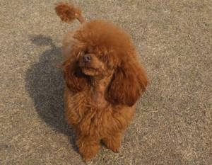 2015_03293-24クレア