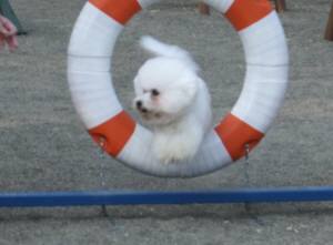 2015_04294-22アムタイヤ