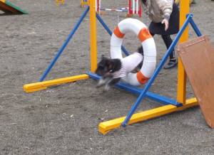 2015_04194-13ケルン