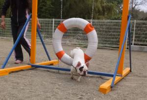 2015_04013-27チェルシー