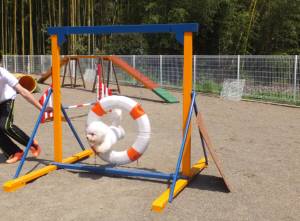 2015_04254-18アムル