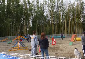 2015_04124-9アジ教室