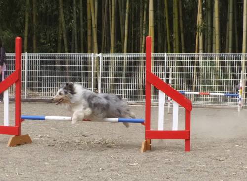 2015_04013-27アイル