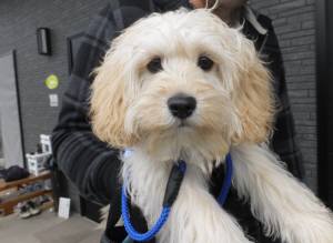 2015_04194-13よつばだっこ