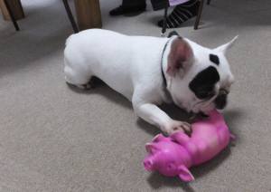 2015_04154-10チェルシー