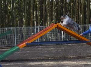 2015_04154-10アイルＡ