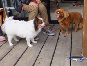 2015_04013-27ベルリン