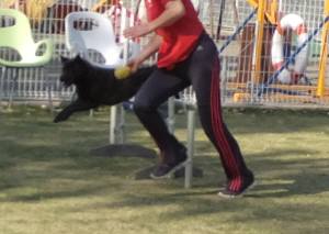 2015_04274-20サクラ