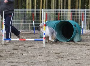 2015_04124-9アイル