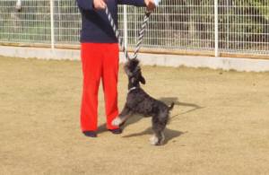 2015_04013-27ケルン