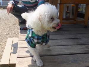 2015_04254-18タッキー