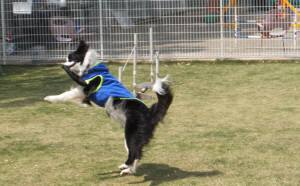 2015_04294-22テト２