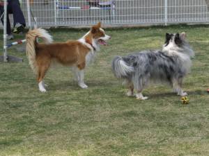 2015_04284-21シェリーアイル