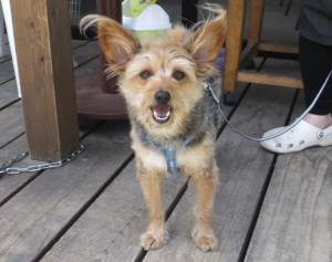 2015_04284-21ジャック