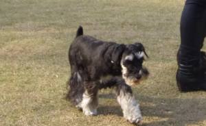 2015_04124-9ルネア