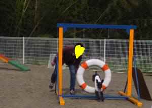 2015_04224-16りりータイヤ