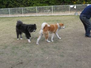 2015_04244-17マキトミー