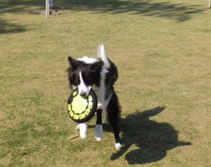 2015_04264-19テト２