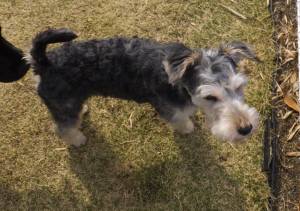 2015_04124-9ヒュウガ