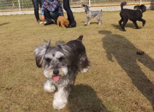 2015_04124-9４匹２