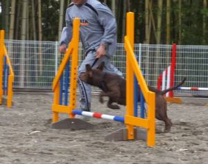 2015_04124-9サラジャンプ