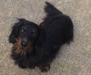 2015_04013-27ラウル