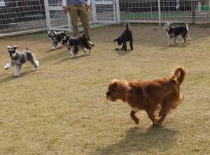 2015_04124-9アレス他５