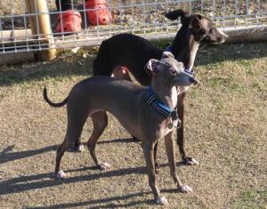 2015_04294-22モネマーブル２