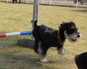 2015_04224-16バディ