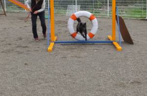 2015_04194-13さくら