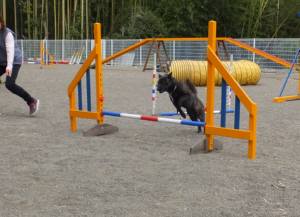 2015_04034-2さくら