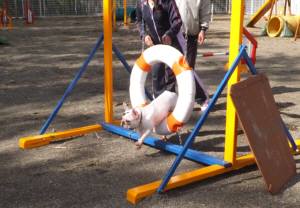 2015_04154-10タイヤ