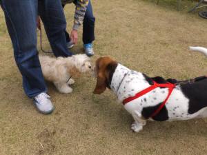 2015_04224-16よつばまろん