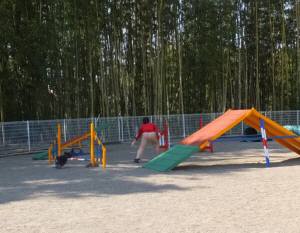 2015_04264-19ケルンアジ