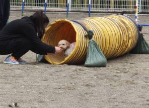 2015_04194-13りっつ