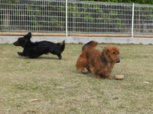 2015_04174-11ラウルルナ