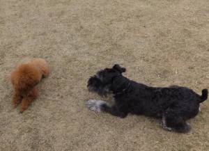 2015_04013-27ケルンクレア