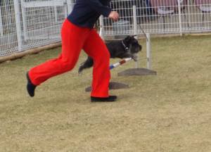 2015_04013-27ケルンジャンプ