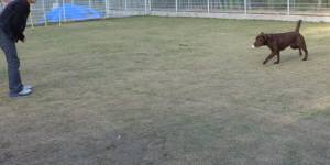 2015_04214-15ララ２