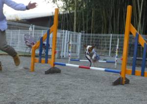 2015_04274-20凛子ジャンプ