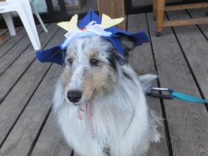 2015_05085-7アイル