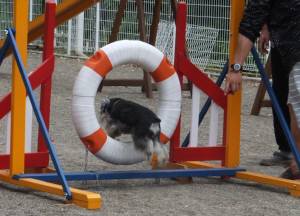 2015_05295-29ライジャンプ