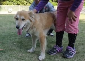 2015_05055-5のんちゃん